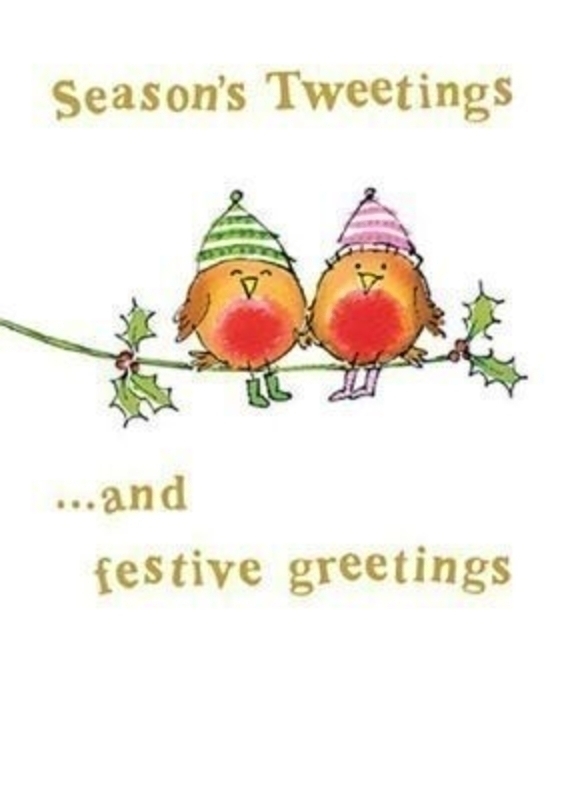 Seasons Tweeting's Christmas Card -Robins by Catching Rainbows at Paper Rose. Embossed and foiled design. Comes with a Red Envelope. 'Season's Tweeting's …and festive greetings' on the front. 'Have a really wonderful time' on the inside. Christmas ca